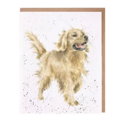Wrendale Designs 'Golden Boy' Blank Greetings Card- Greeting Cards
