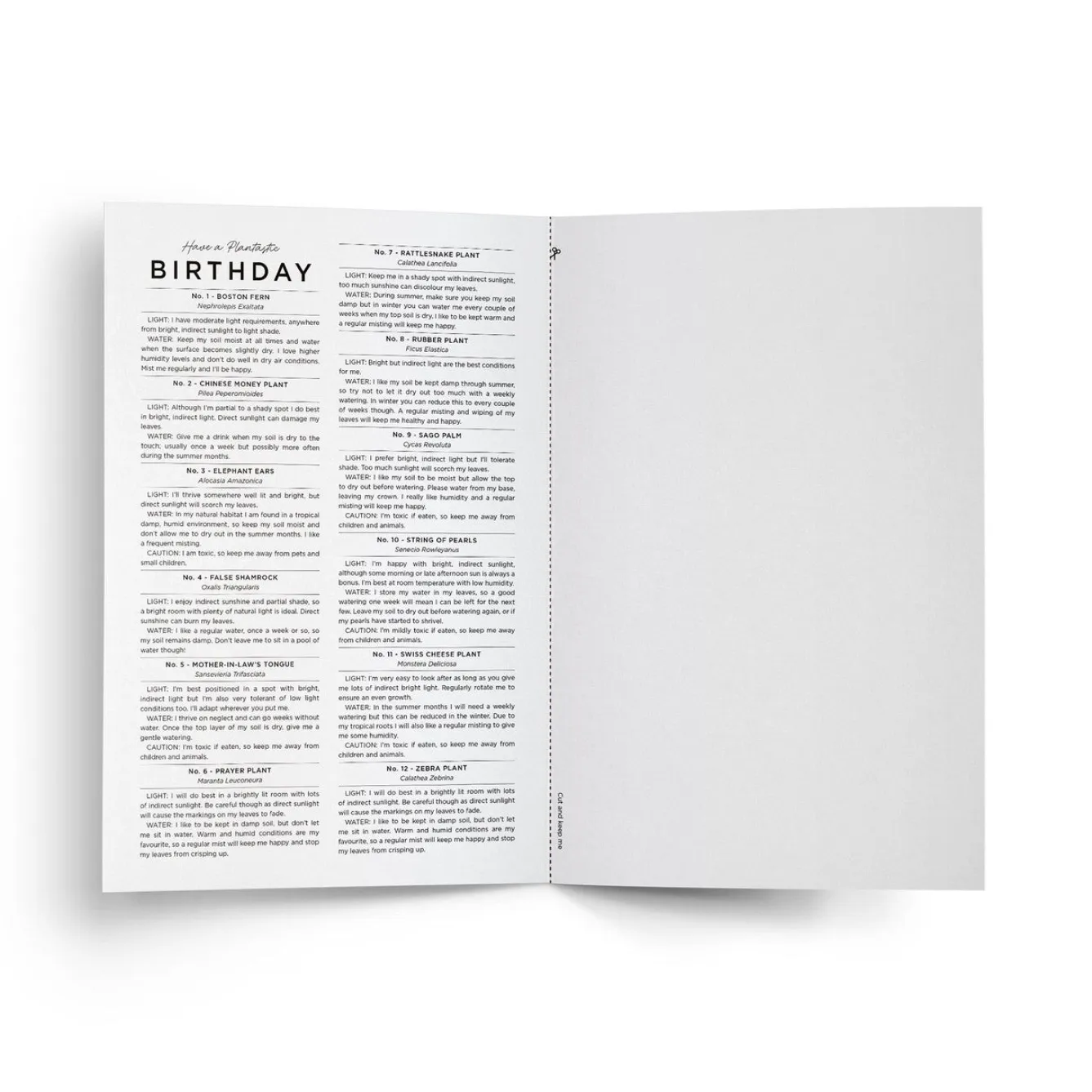 Everlong Print Co. Have a Plantastic Birthday Card- Greeting Cards