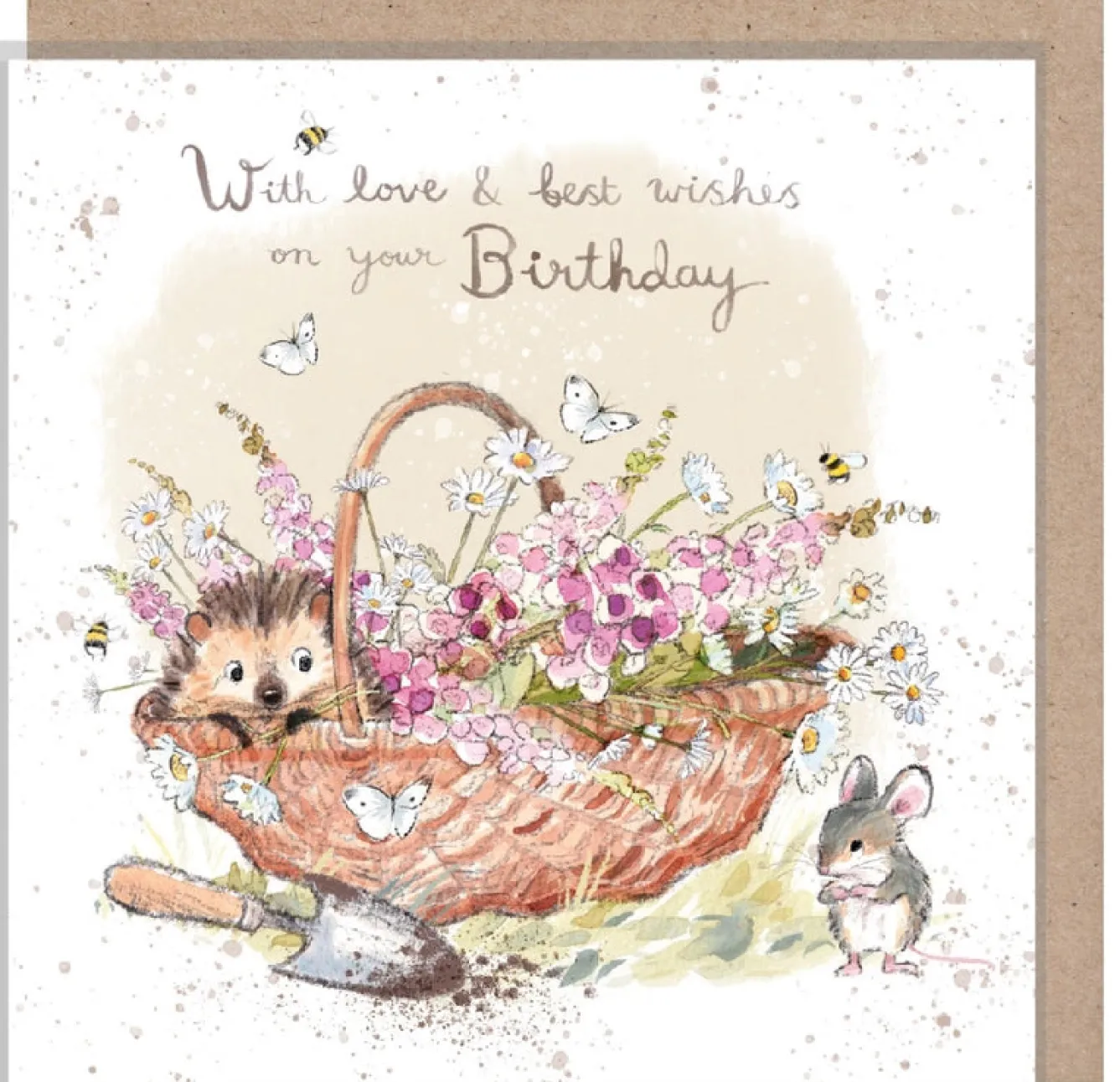 Paper Shed Design Hedgehog in Flower Basket "With Love and Best Wishes on Your Birthday" Birthday Greetings Card- Greeting Cards