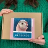 Bergin & Bath Hedgehog Needle Felting Kit- Crafts