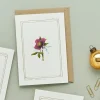Catherine Lewis Hellebore - 'Botanical Archive: Festive Edition' - card- Greeting Cards