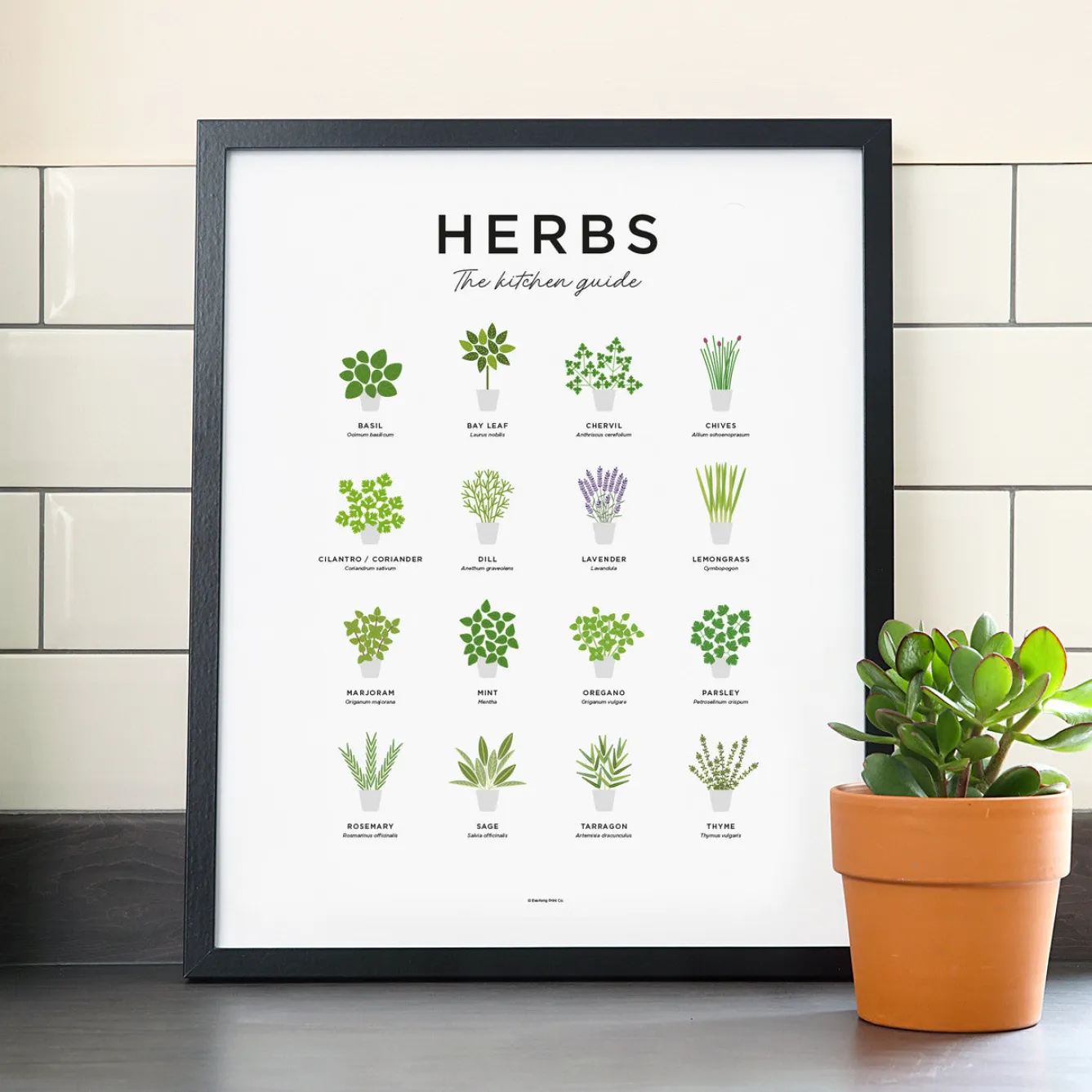 Everlong Print Co. Herbs Guide Print - Framed- Art