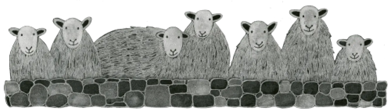 Moorland Pottery Herdwick Sheep Mug by- Pets|Pets