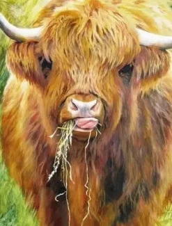 All Jigsaw Puzzles Highland Cow by Gill Erskine-Hill 1000 piece Jigsaw- Father's Day|Puzzles