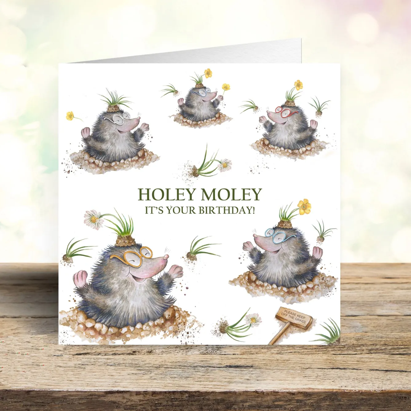 West Country Designs 'Holey Moley' Cheeky Mole Birthday Card- Greeting Cards