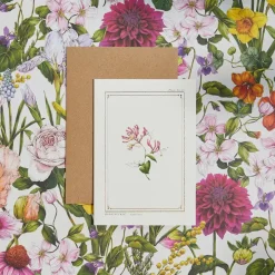 Catherine Lewis Honeysuckle - 'Botanical Archive: Everyday Edition' - card- Greeting Cards
