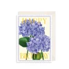 The Art File Hydrangeas Birthday Greeting Card- Greeting Cards