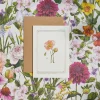 Catherine Lewis Icelandic Poppy - 'Botanical Archive: Everyday Edition' - card- Greeting Cards