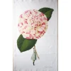 Laura Stoddart In Bloom Camellia Linen Tea Towel- Tea|Tea Towels