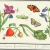 Madame Treacle In the Garden - Little Vintage Greeting Card- Greeting Cards