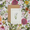 Catherine Lewis Iris - 'Botanical Archive: Everyday Edition' - card- Greeting Cards