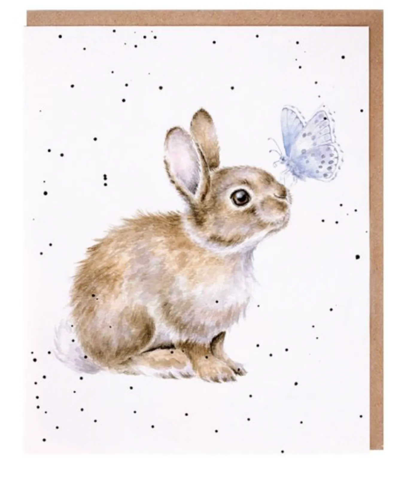 Wrendale Designs 'I Spy a Butterfly' Bunny Birthday Greetings Card- Greeting Cards