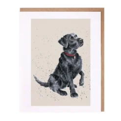 Wrendale Designs 'Jack' Black Labrador Greetings Card- Greeting Cards|Children