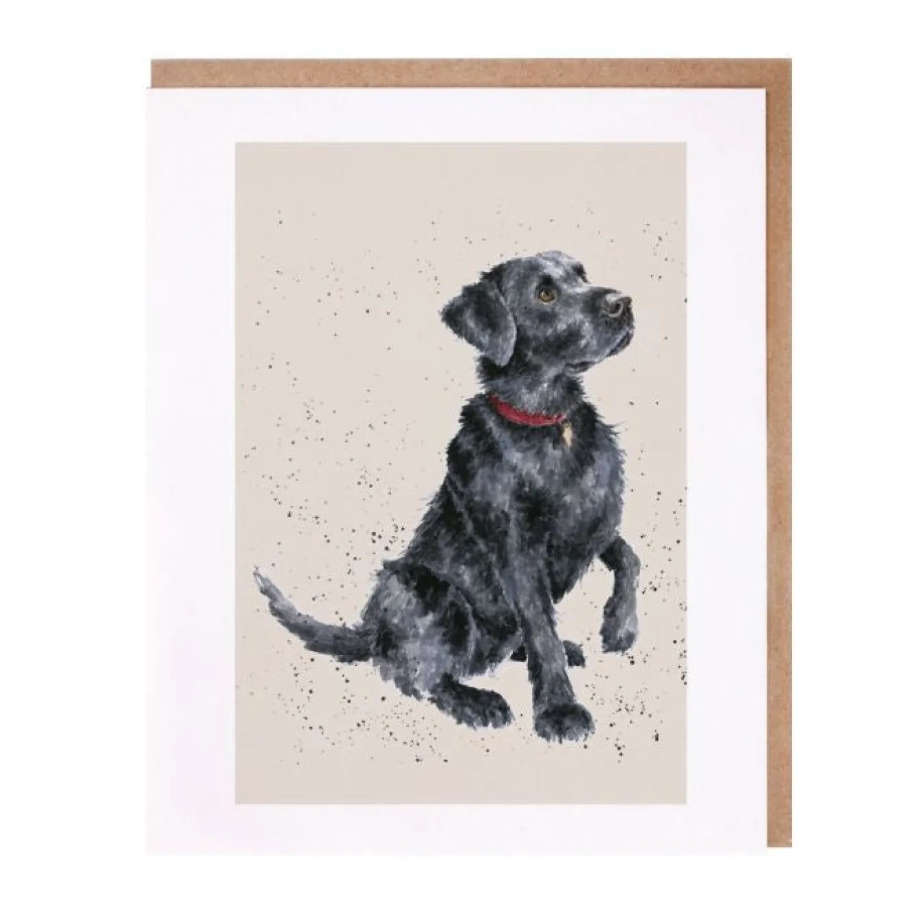 Wrendale Designs 'Jack' Black Labrador Greetings Card- Greeting Cards|Children