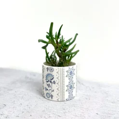 Alex Allday Jasmine Ceramic Tea Light Holder- Tea|Home Fragrance