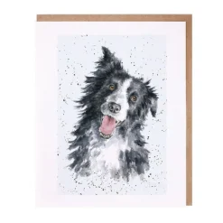 Wrendale Designs 'Jess' Border Collie Greetings Card- Greeting Cards|Children