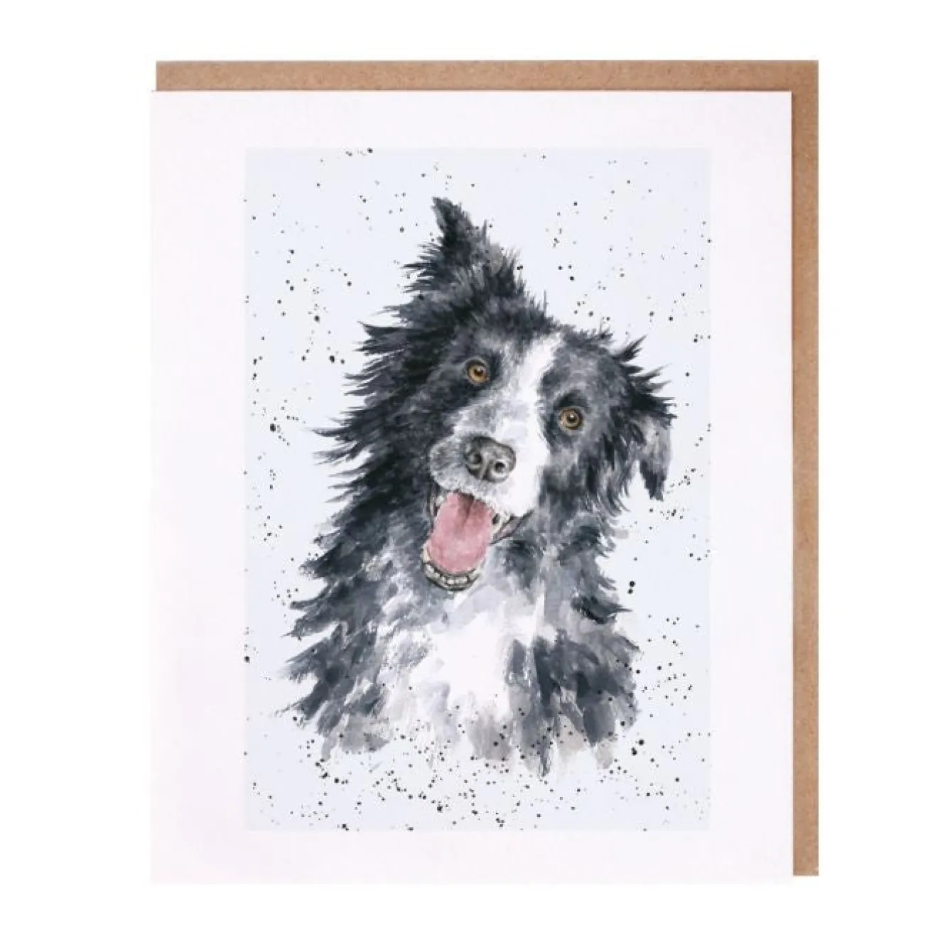 Wrendale Designs 'Jess' Border Collie Greetings Card- Greeting Cards|Children