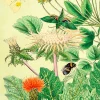 Madame Treacle Jini's Garden Glitter Greetings Card- Greeting Cards