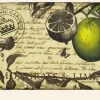 English Soap Company Kew Gardens Lemongrass & Lime Soap- Soaps & Lotions
