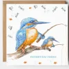West Country Designs Kingfisher Fishes Father's Day Card- Father's Day|Greeting Cards
