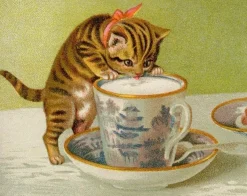 Madame Treacle Kitty - Little Vintage Greeting Card- Greeting Cards