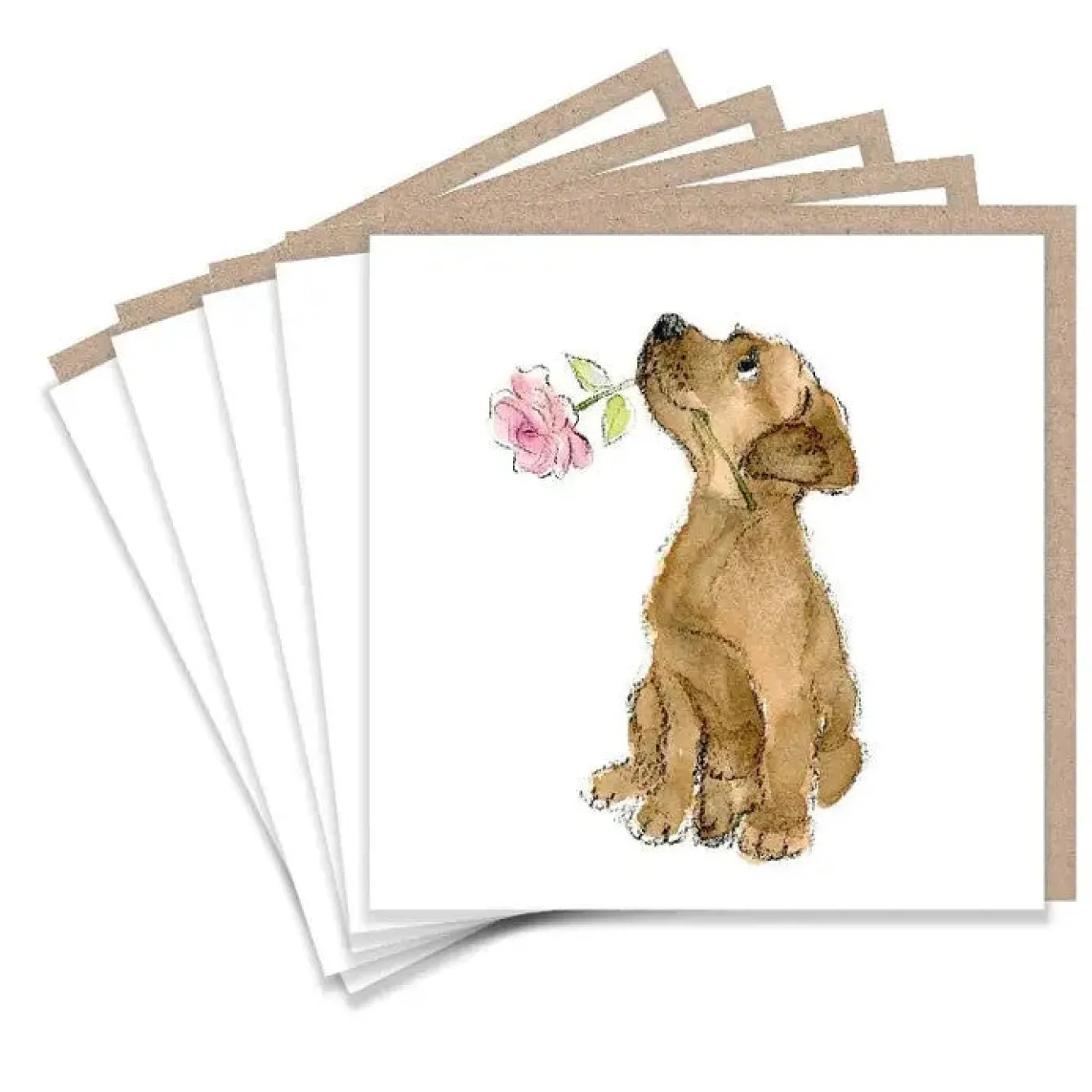 Paper Shed Design Labrador and Rose Set of 5 Notecards- Greeting Cards