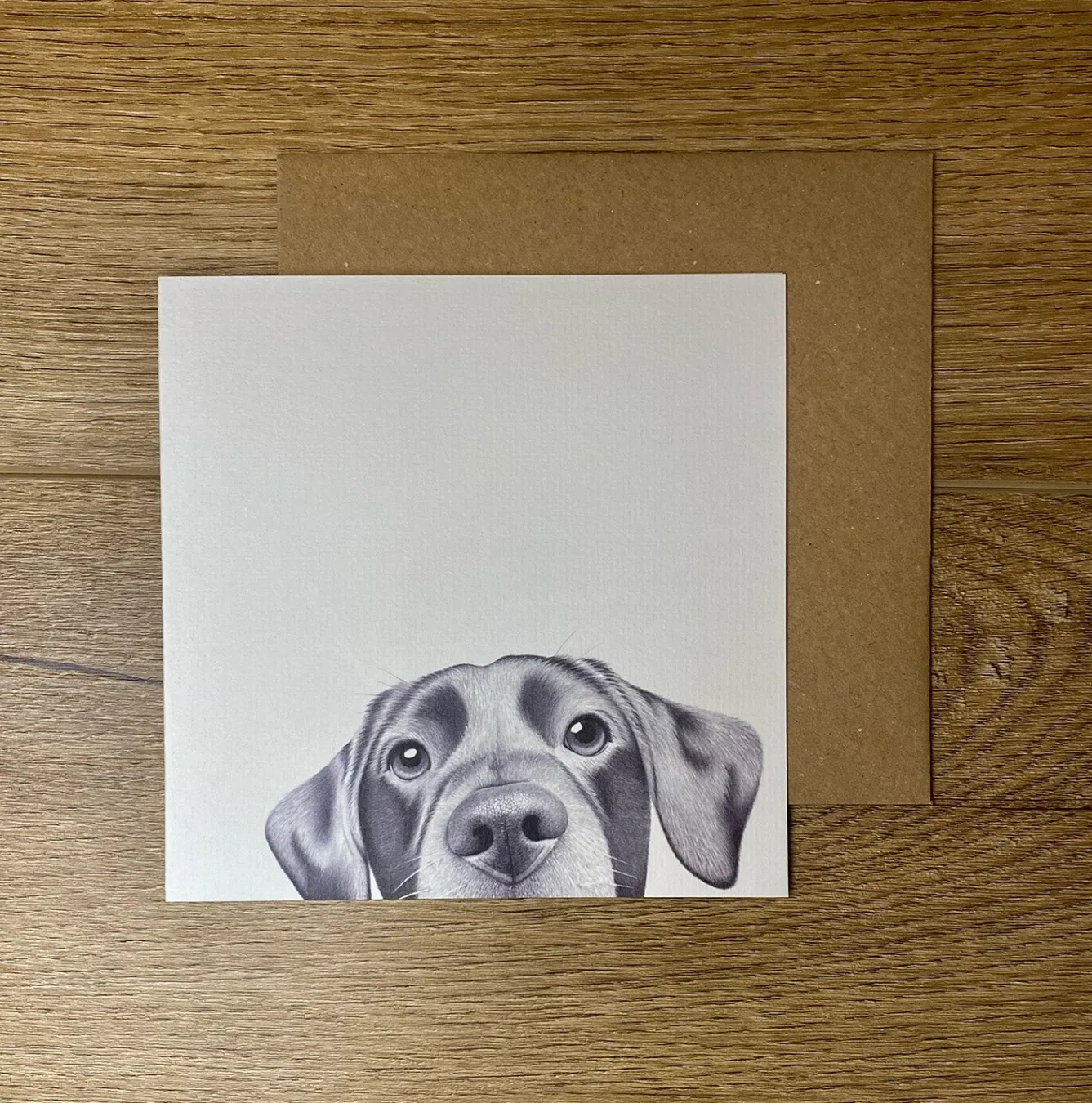 Katherine Sheard Designs Lenny Labrador Greetings Card- Greeting Cards