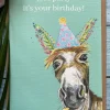 Jen Winnett Let's Party Donkey Birthday Eco-card- Greeting Cards