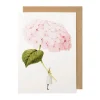 Laura Stoddart Light Pink Hydrangea Blank Greetings Card- Greeting Cards