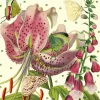 Madame Treacle Lily Glitter Birthday Card- Greeting Cards