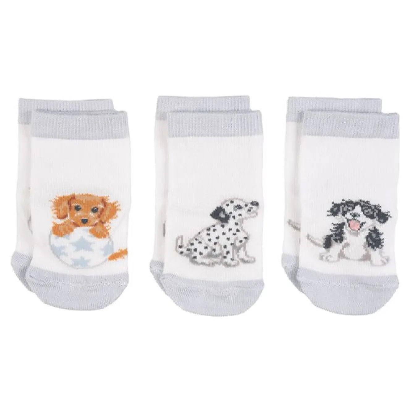 Wrendale Designs 'Little Paws' Dog Baby Socks Set- Children