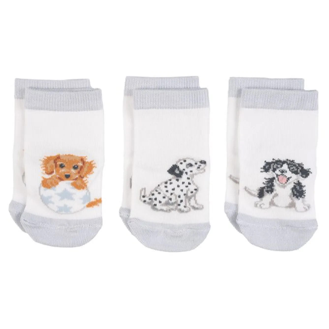 Wrendale Designs 'Little Paws' Dog Baby Socks Set- Children
