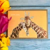 Jen Winnett Love You Giraffes Eco-Card- Valentine's Day|Greeting Cards