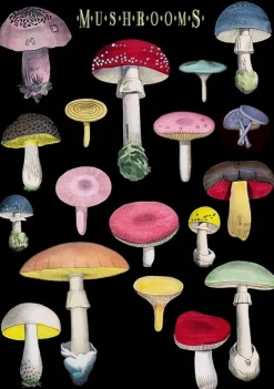 Madame Treacle Many Mushrooms Greetings Card- Greeting Cards