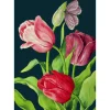 Madame Treacle Midnight Tulips Card- Greeting Cards