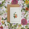 Catherine Lewis Nasturtium - 'Botanical Archive: Everyday Edition' - card- Greeting Cards