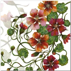 Emma Ball Nasturtiums Greetings Card- Greeting Cards