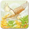 Emma Ball Owl Coaster- Tea|Coasters