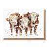 Wrendale Designs 'Paddy, Percy and Pedro' Cows Greetings Card- Greeting Cards