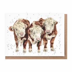 Wrendale Designs 'Paddy, Percy and Pedro' Cows Greetings Card- Greeting Cards