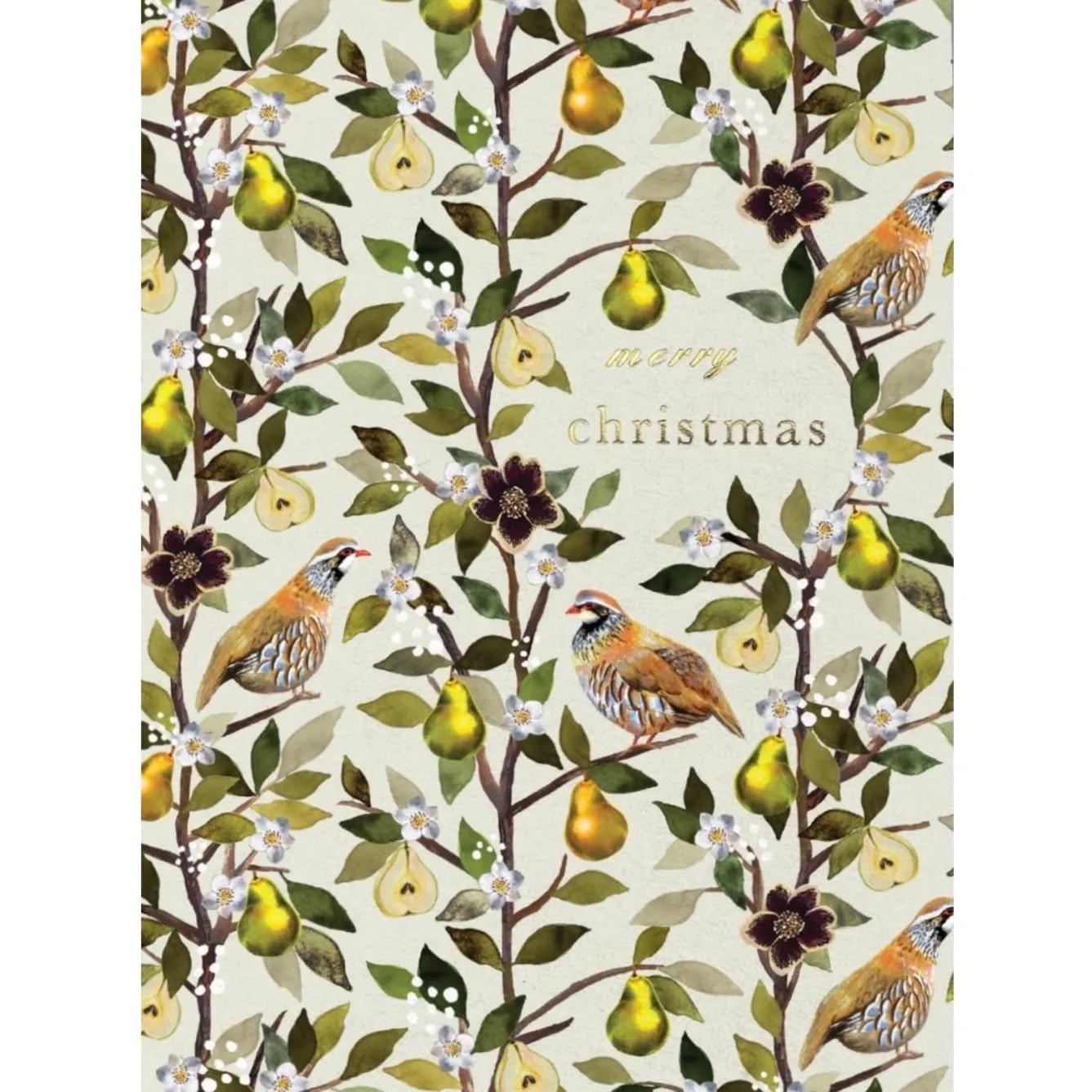 Stephanie Davies Partridge in a Pear Tree Greeting Card- Greeting Cards