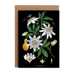 Catherine Lewis Passion Flower - Black - Greetings Card- Greeting Cards