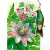 Madame Treacle Passion Flower Hanging Fandangle Card- Greeting Cards
