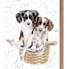 Wrendale Designs 'Paws and Pedals' Dog Greetings Card- Greeting Cards