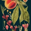 Madame Treacle Peach Greetings Card- Greeting Cards