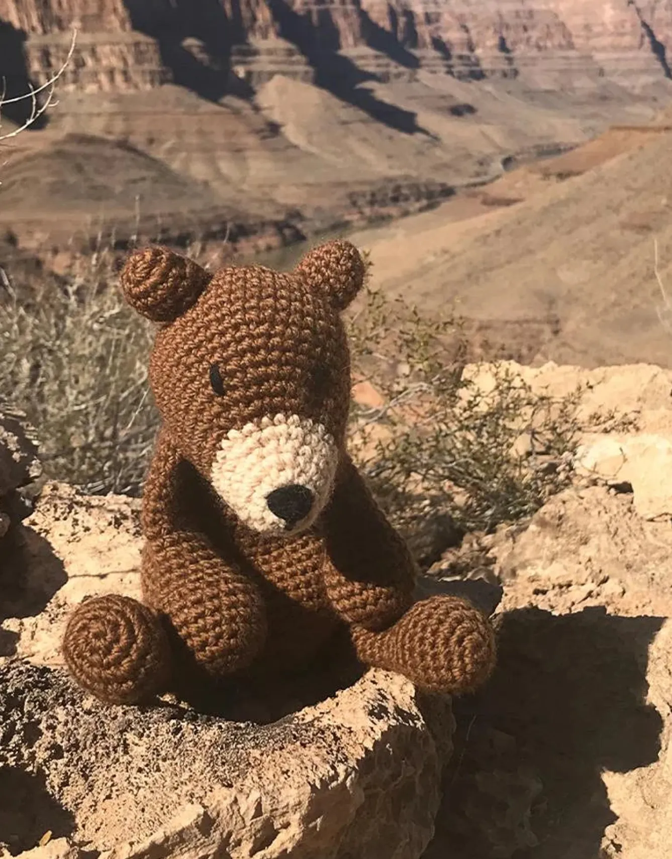 Toft Crafts Penelope the Bear Crochet Kit- Crafts