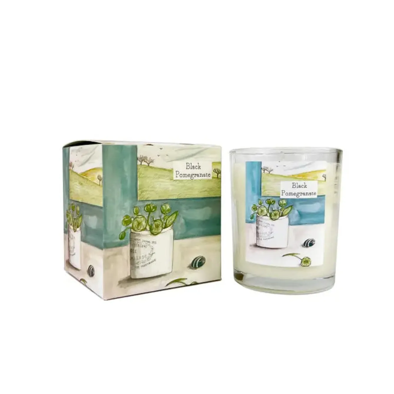 Heaven Scent Pot Plant- Black Pomegranate Glass Candle- Home Fragrance