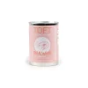 Toft Crafts Prawns in a Can Kit- Crafts