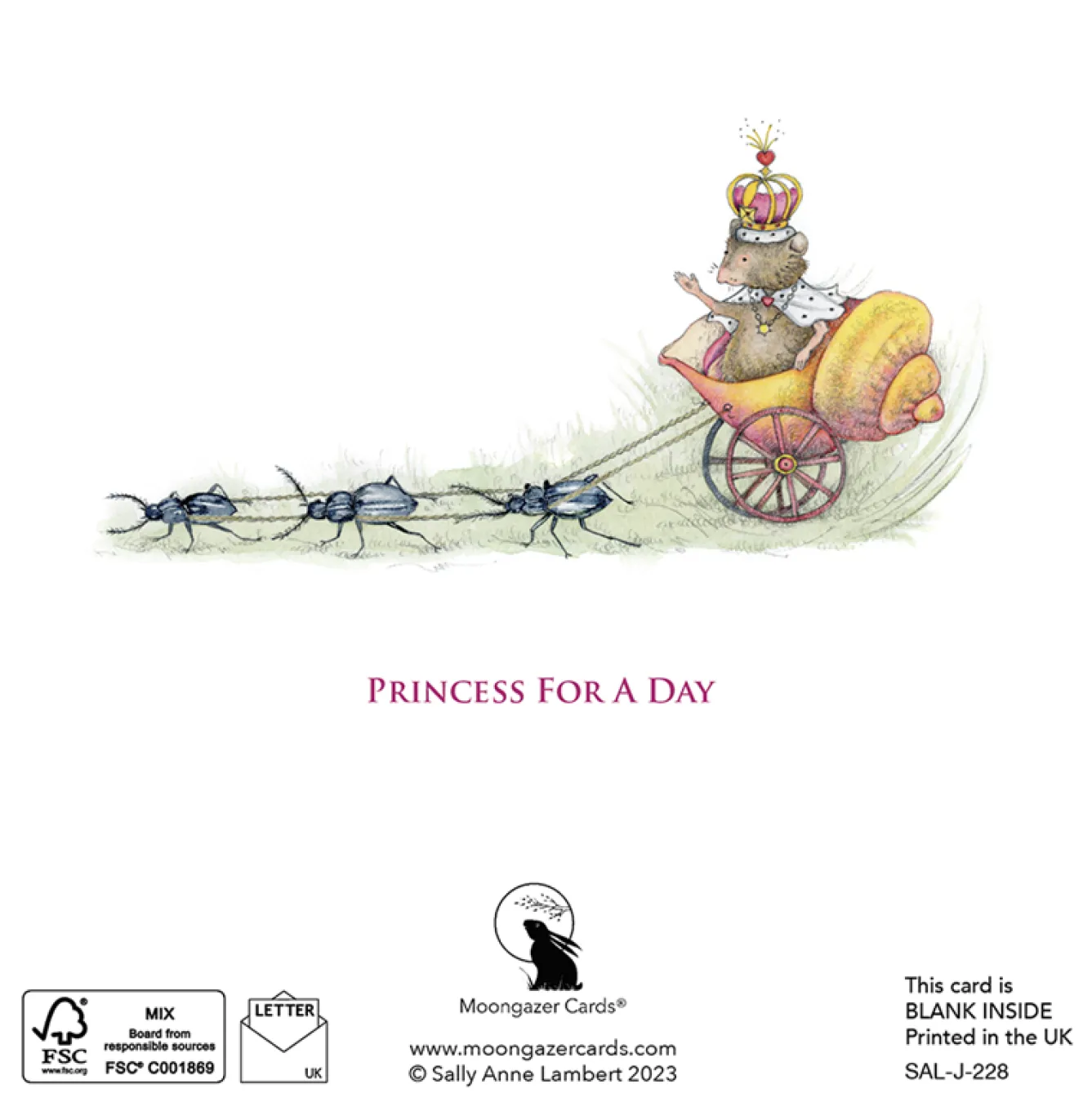 Moongazer Cards Princess For A Day Greeting Card- Greeting Cards