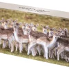 Dean's of Huntley Shortbread "All Ears" All Butter Shortbread Squares 150g- Snacks & Crackers|Biscuits